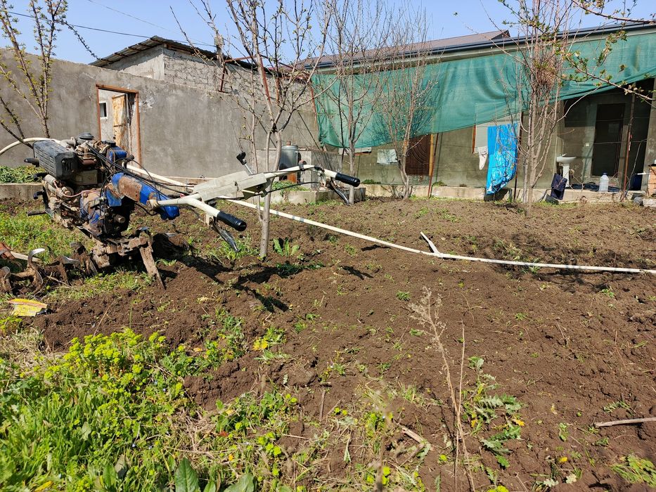 Yer haydash chopish tiplisa bog'larni haydash xizmat