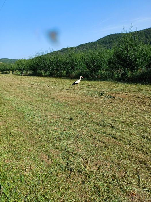 Отдавам пад наем овощна градина