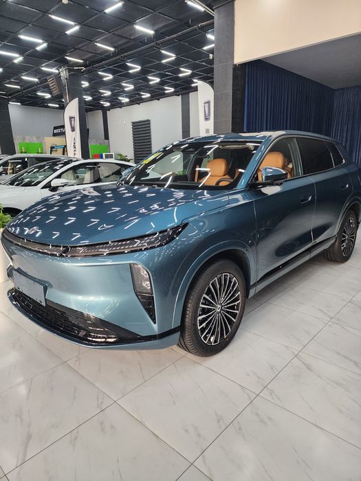 Domg feng L8 185 plus