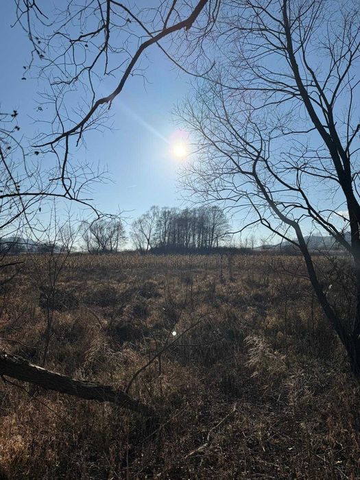 Teren 1.250 m² Rimetea, priveliște superbă, acces din 2 direcții