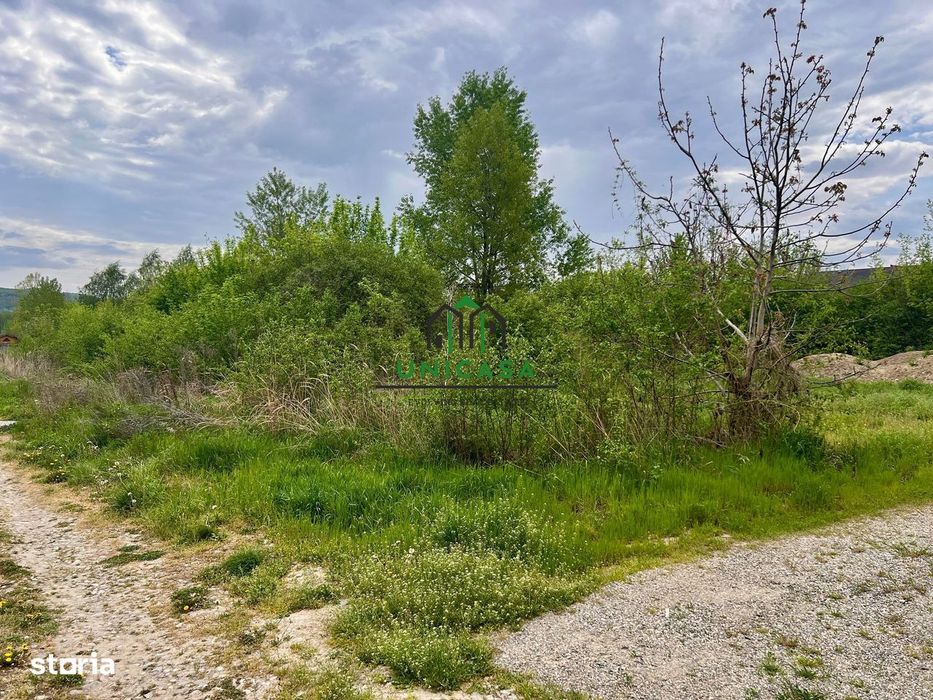 Teren Bujoreni/494 mp/Intravilan