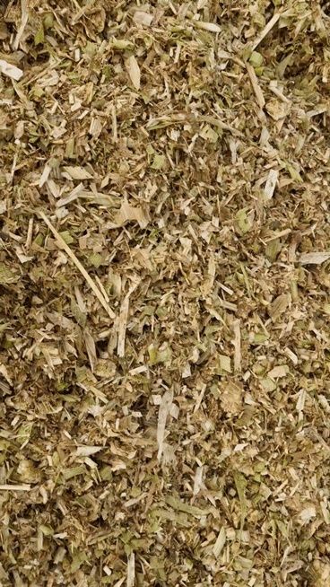 Baloti siloz din porumb 2025