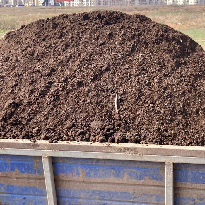 Чернезем и перегной