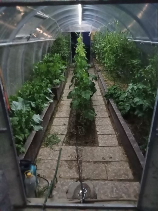 Теплица 9 на 3 срочно бу