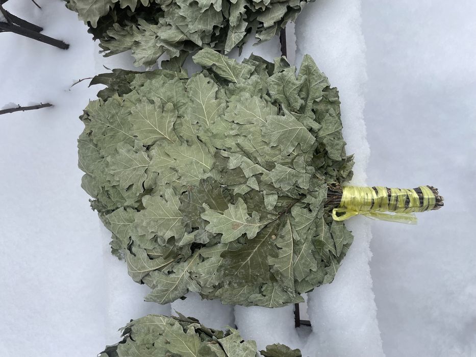 Дубовые веники