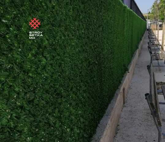 Eco Zabor Yashil dekorativ devor Зелёный забор  Оптом екозабор
