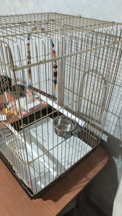 Продам клетку попугая
