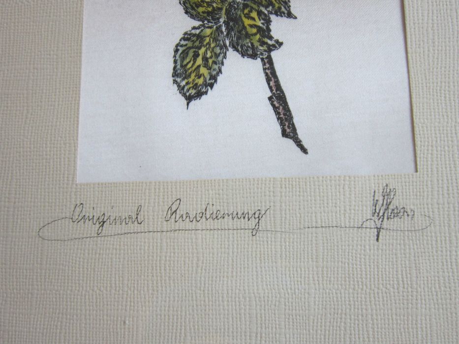 cadou inedit tablou pe matase-flori, botanic,semnat,made Germany'60