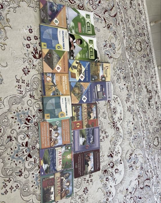 Книги 6 класс.