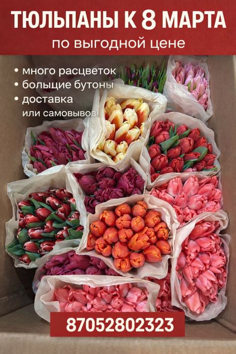 Тюльпаны к 8 марта