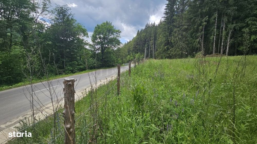 Teren de vanzare in Valea Doftanei