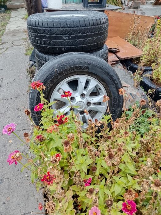 Продам шины с титан.