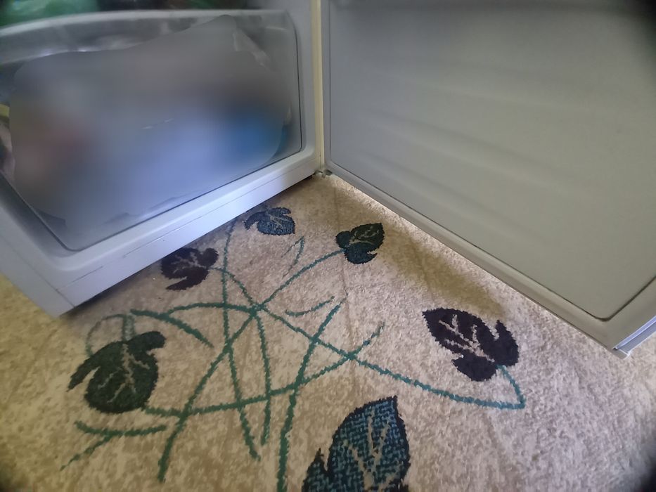 Холодильник янги