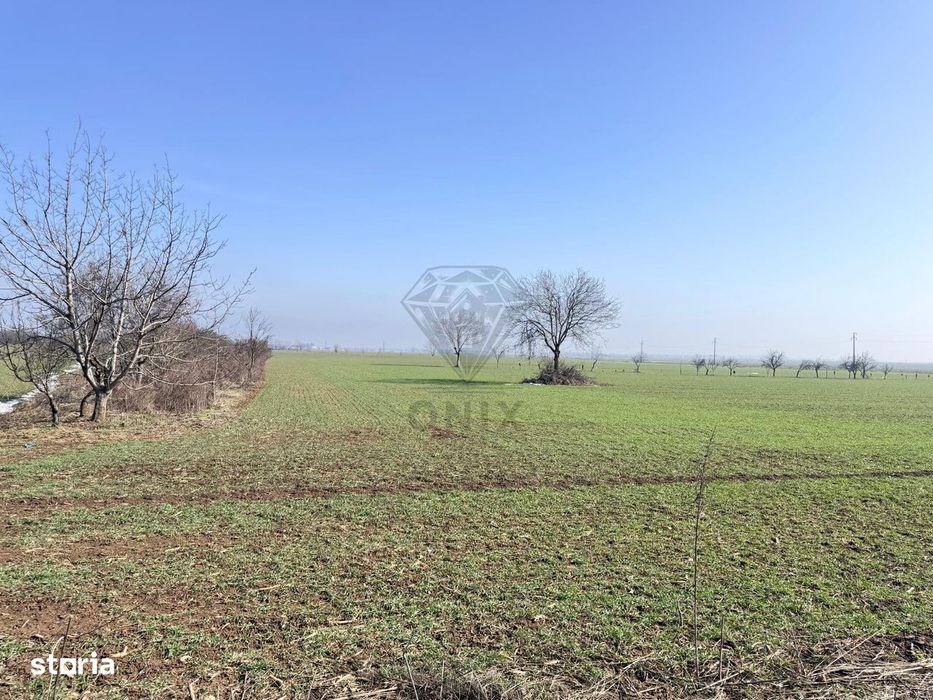 Teren 3000mp Baicoi intravilan