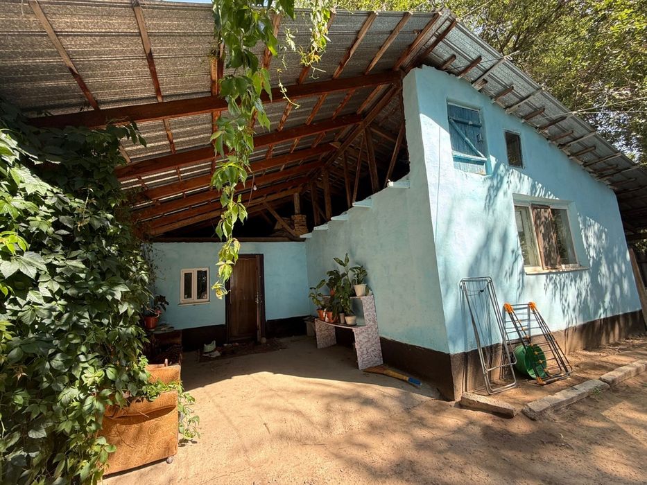 Продам яблоневый сад