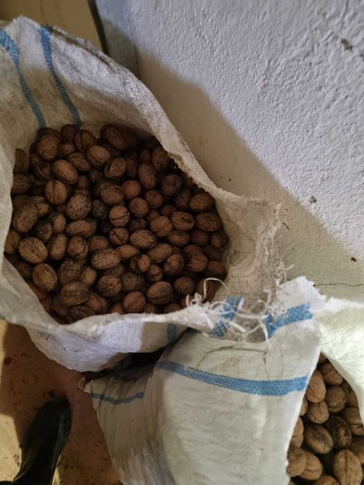 Vand nuci la sac