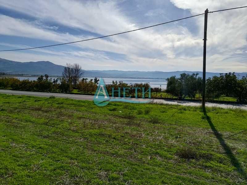 Продава се Парцел в София, Гео Милев - 1000 кв.м за 10 €/кв.м - Снимка #5