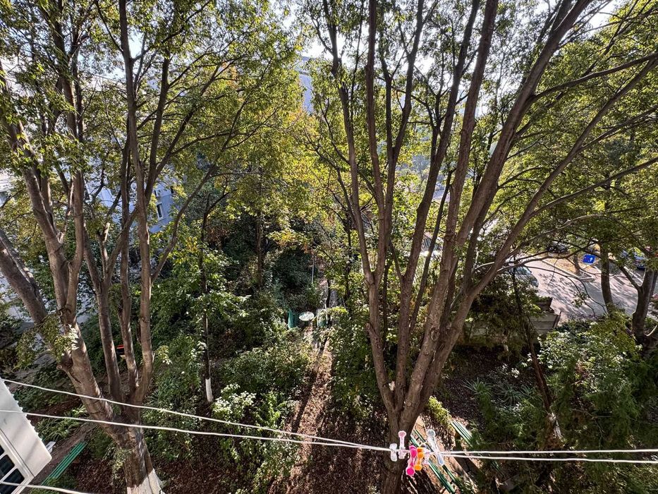 Bucuresti Parcul Pacii  3 decomandate 120000 euro