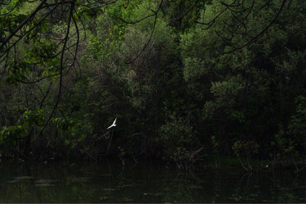 Объектив sony 50MM F1.8 e mount