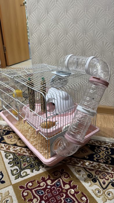 ПРОДАМ хомяк с клеткой