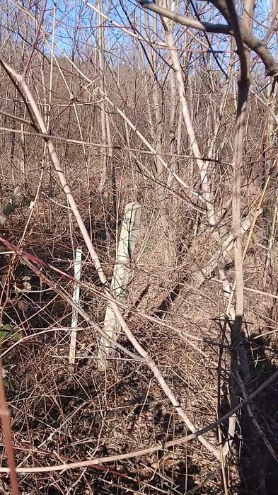 Продава се Парцел в с. Паволче, Област Враца - 526 кв.м за 3 €/кв.м - Снимка #5