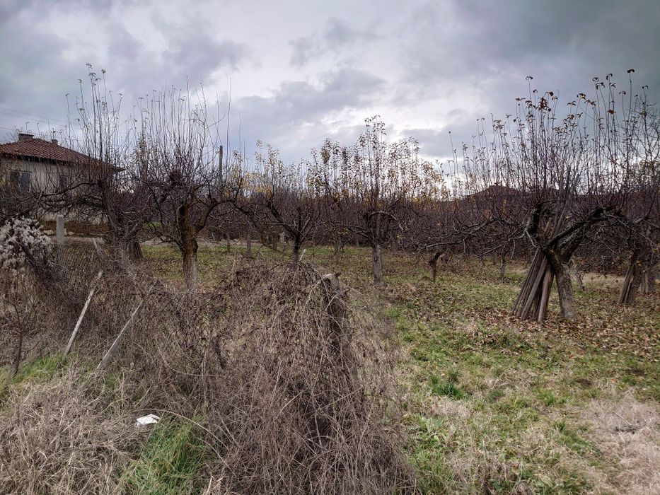 Продава се Парцел в с. Селище, Област Благоевград - 1670 кв.м за 27 €/кв.м - Снимка #4