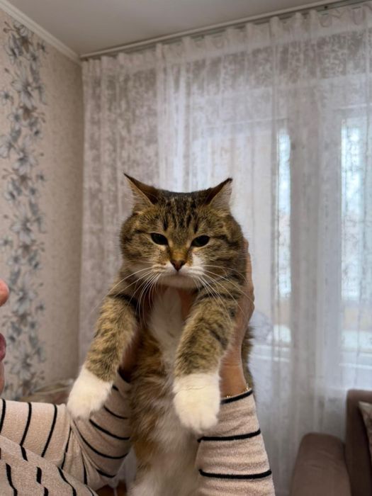 Отда мошку в хорошие руки.