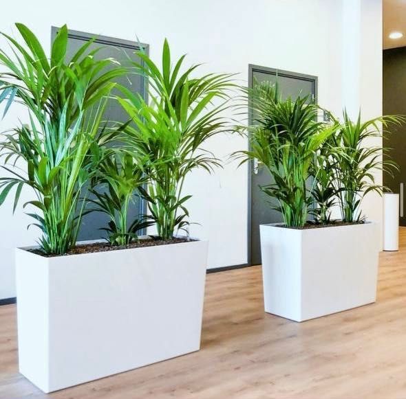 Кашпо на заказ по индивидуальным размерам!