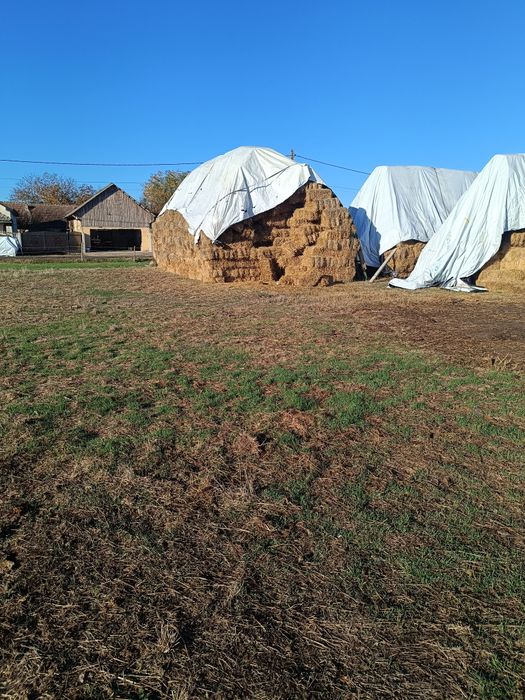 Vând baloti de paie