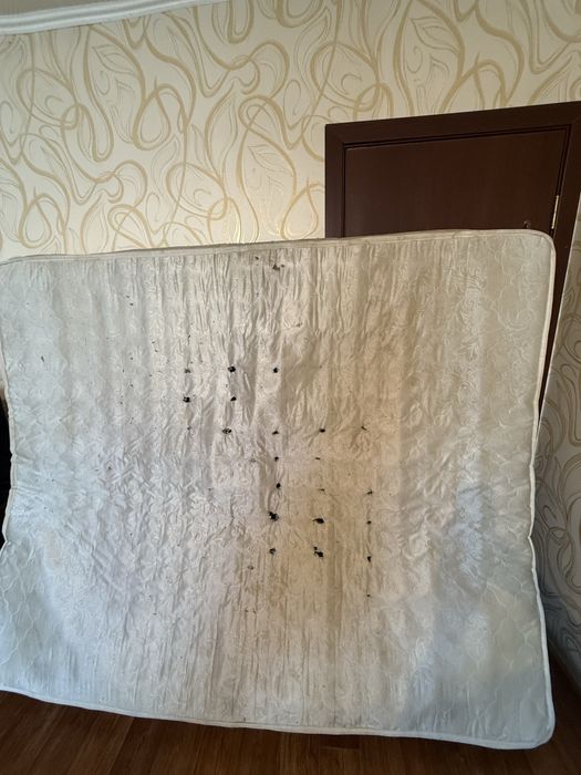 Отдам бесплатно матрас