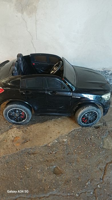 Moshina pultli bolaniki