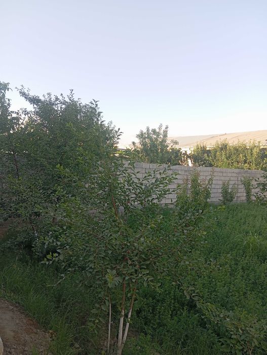 Ҳовли сотилади Продаётся участок,возможен обмен на квартиру,