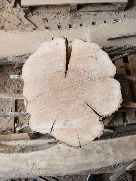 Сухи шайби от ясен