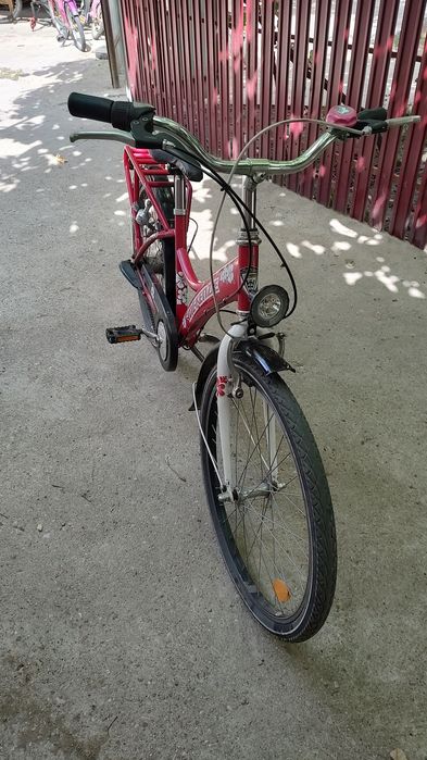 Bicicletă Roți de 24 "