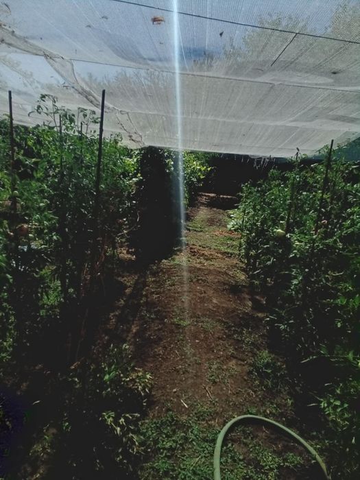 Продава се Къща в с. Ясен, Област Плевен - 70 кв.м за 1329 €/кв.м - Снимка #3