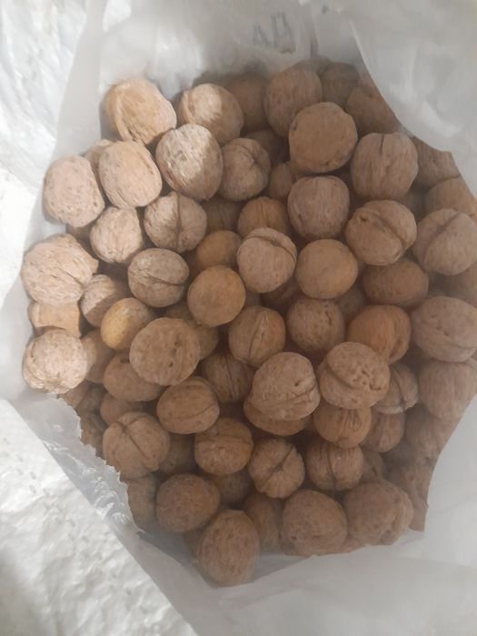 Орехи" шоколодный" жанғақ