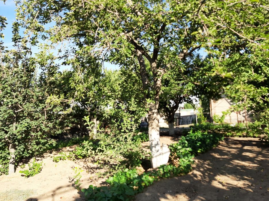 Продается дача 9.25 соток в "Оазисе"