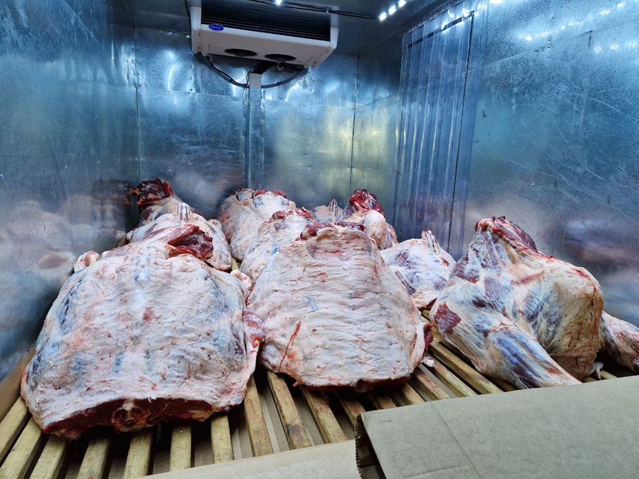 Мясо говядины конины тушами