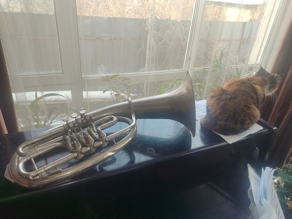 Духовая труба Альт продам