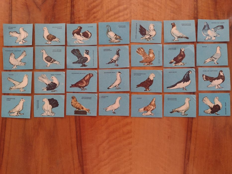 Коллекция спичечных, этикеток СССР