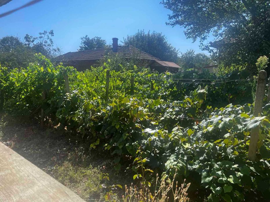 Продава се Къща в с. Белица, Област Силистра - 100 кв.м за 150 €/кв.м - Снимка #11