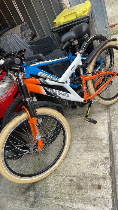 Biciclete de canzare