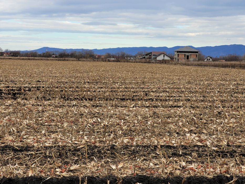 Vând 22100 mp de teren extravilan -Bod