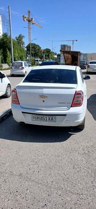 Srochna koblt sotiladi yili 2023