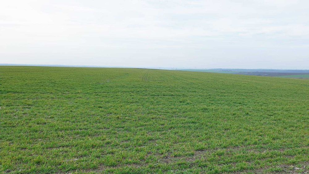 Продава се Земеделски имот в Разград, Промишлена зона - Изток -  кв.м за 488 €/дка - Снимка #4