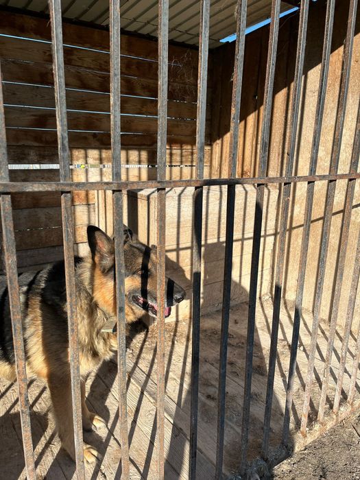 Вольер продам 130.000тг