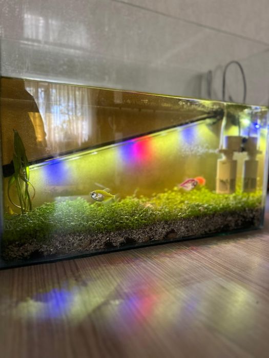 Аквариум с оборудованием