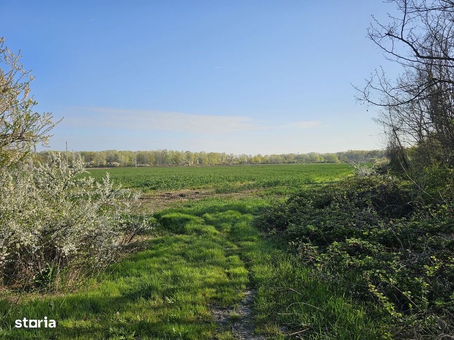 10.100Mp Teren Construcții Intravilan Potigrafu, Deschidere 31M La Dn1