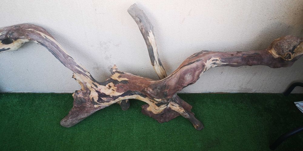 Корен за аквариум