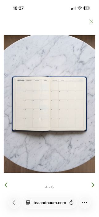 Планер от Теа Минкова